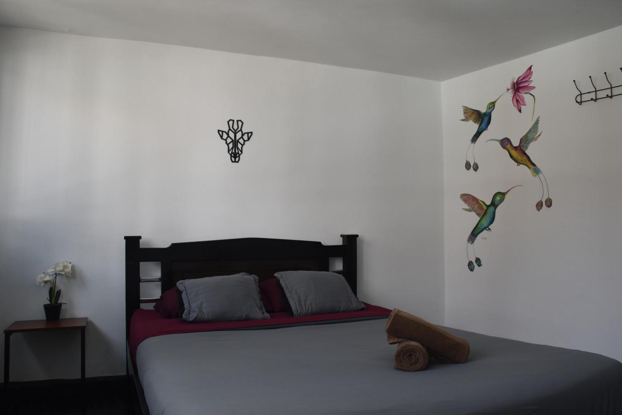 Celavi Hostel 몬구이 외부 사진